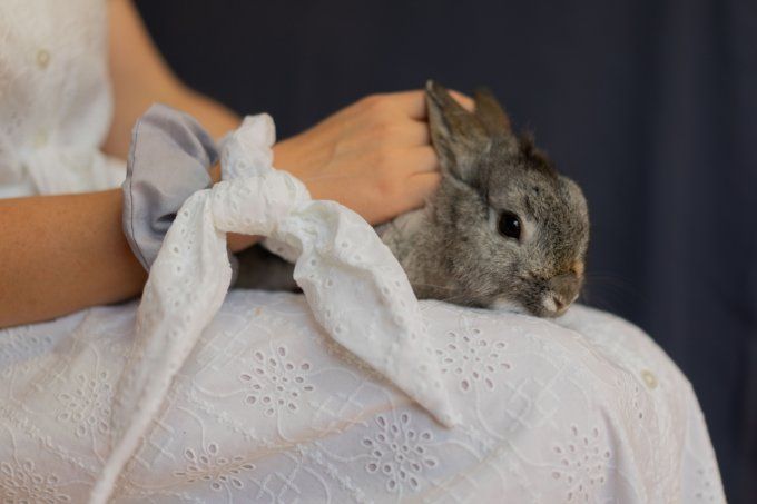 Foulchie Jane Austen